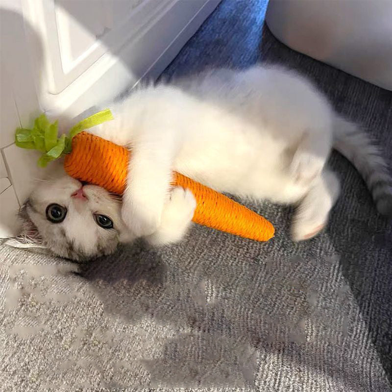 Jouet pour chat I Carrot™
