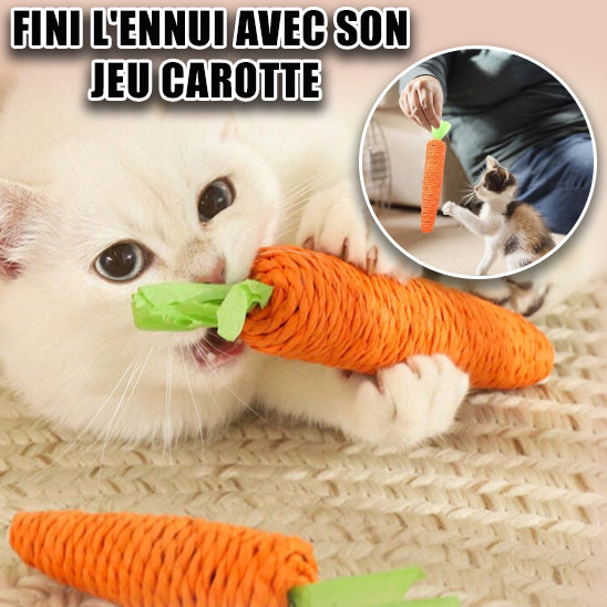 Jouet pour chat I Carrot™